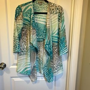 Open front sheer coverup